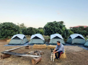 Natural camping